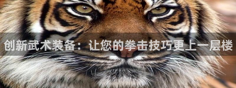 tp官方正版app开户：创新武术装备：让您的拳击技巧