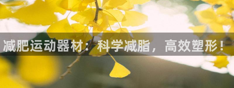 tpwallet官网下载招商：减肥运动器材：科学减脂，高效塑