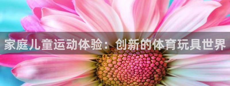 tpwallet官网下载平台注册：家庭儿童运动体验：创新的体