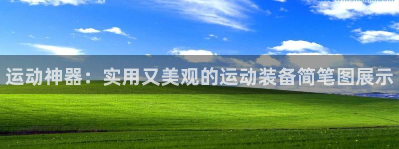 tp官方正版app集团官网首页：运动神器：实用又美观