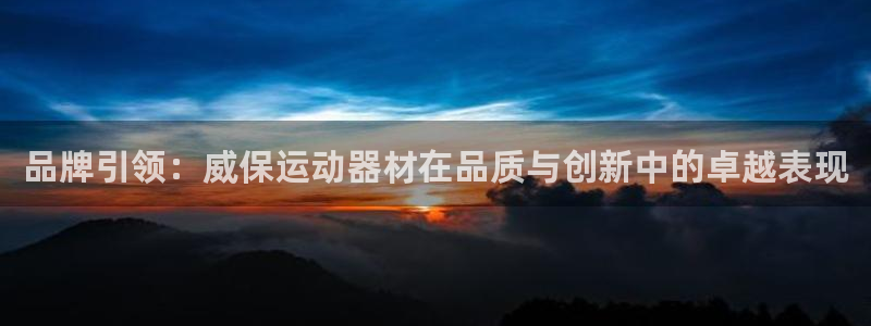 tp官方正版app集团官网首页网址：品牌引领：威保运动器材在