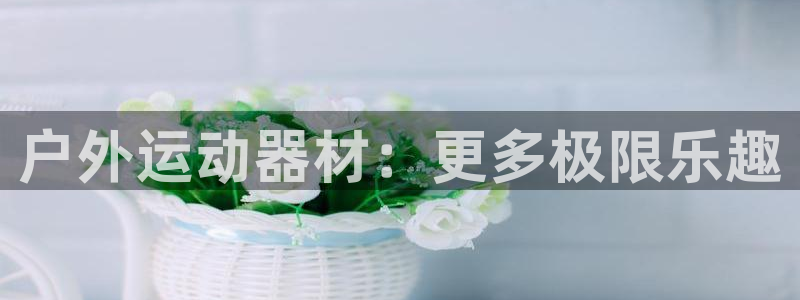 tp官方正版app集团简介