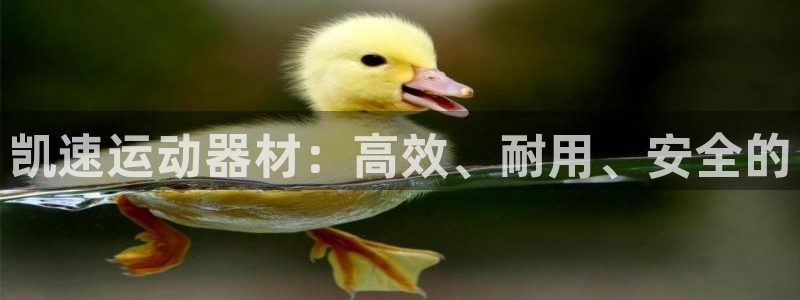 tpwallet官网下载平台假的吗是真的吗吗：凯速运动器材：
