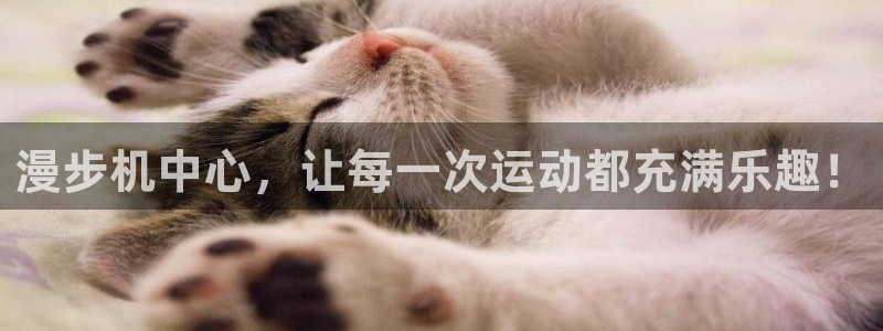 tp官方正版app娱乐网站：漫步机中心，让每一次运动都充满乐