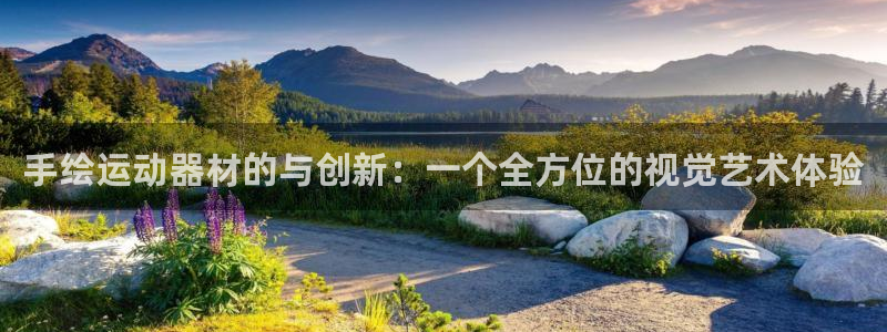 tp官方正版app集团E.ON：手绘运动器材的与创新：一个全