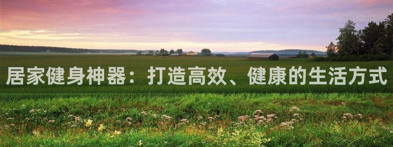 tpwallet官网下载：居家健身神器：打造高效、健康的生活