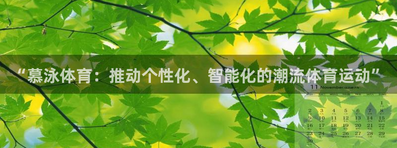 风速体育直播app