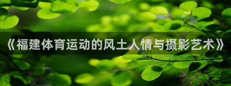风速体育app下载安装最新版本
