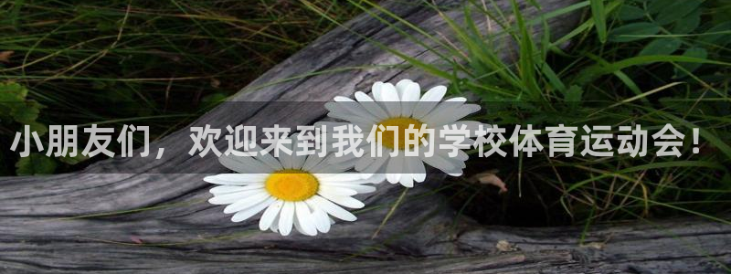 风速体育