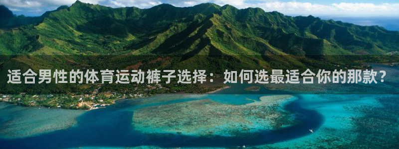 风速体育直播app