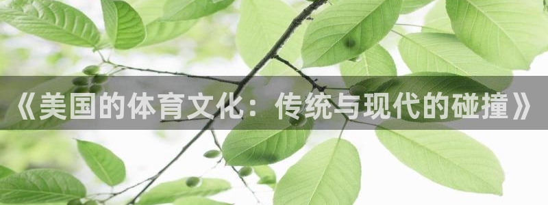 风速体育直播app