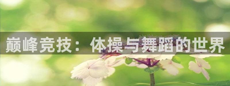 风速体育cba直播