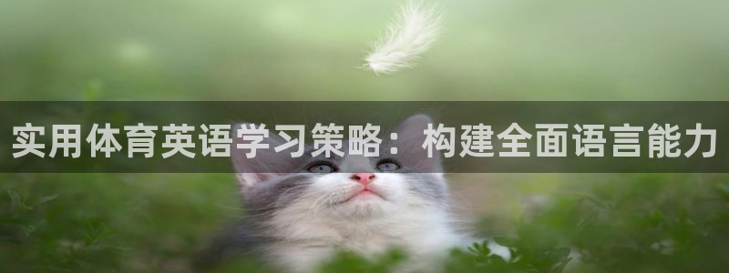 风速体育app