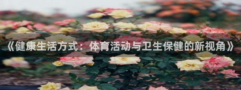风速体育app官方下载