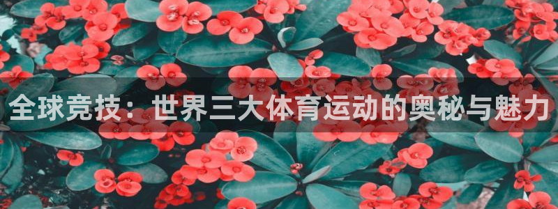 风速体育app下载官网最新版：全球竞技：世界三大体育运动的奥秘与魅力