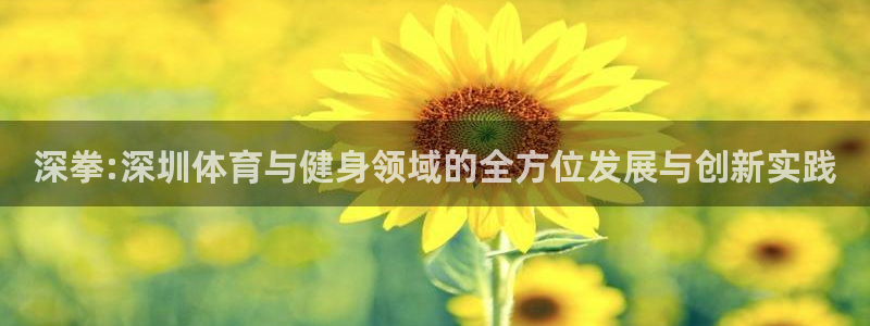 风速体育app官方下载：深拳:深圳体育与健身领域的全方位发展与创新实践