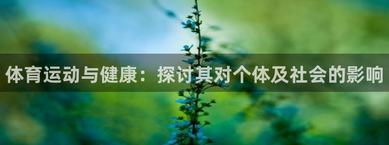 风速体育官网