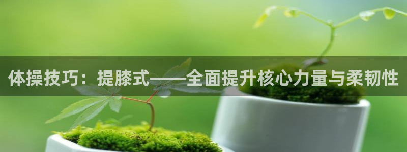风速体育app官方下载：体操技巧：提膝式——全面提升核心力量与柔韧性