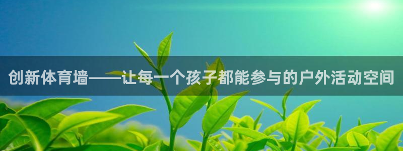 下载风速体育：创新体育墙——让每一个孩子都能参与的户外活动空间
