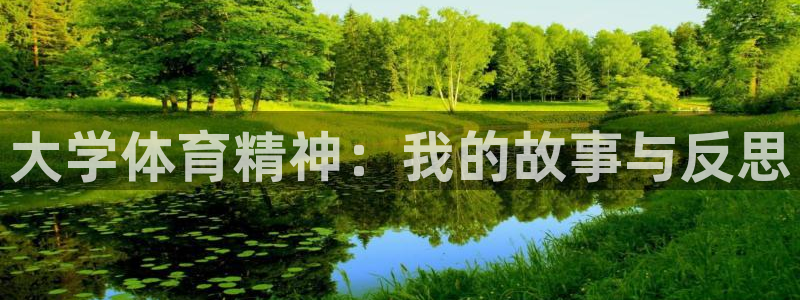 下载风速体育：大学体育精神：我的故事与反思