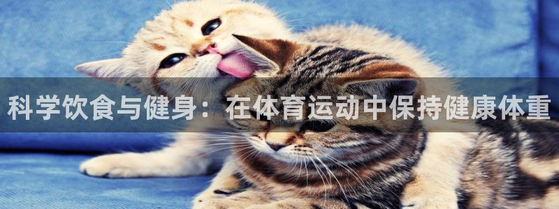 风速体育nba直播：科学饮食与健身：在体育运动中保持健康体重