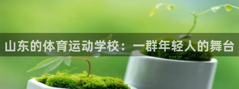 风速体育直播：山东的体育运动学校：一群年轻人的舞台