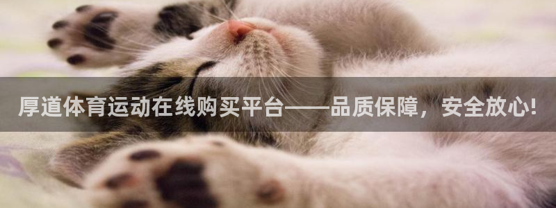 风速体育app官方下载：厚道体育运动在线购买平台——品质保障，安全放心!