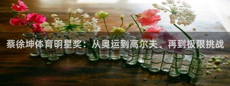 风速体育：蔡徐坤体育明星奖：从奥运到高尔夫、再到极限挑战