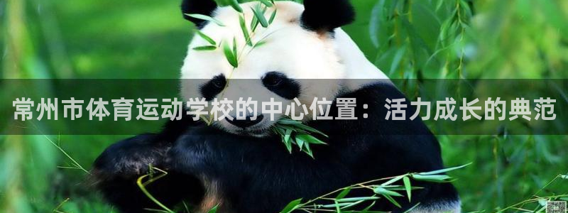 风速体育直播：常州市体育运动学校的中心位置：活力成长的典范
