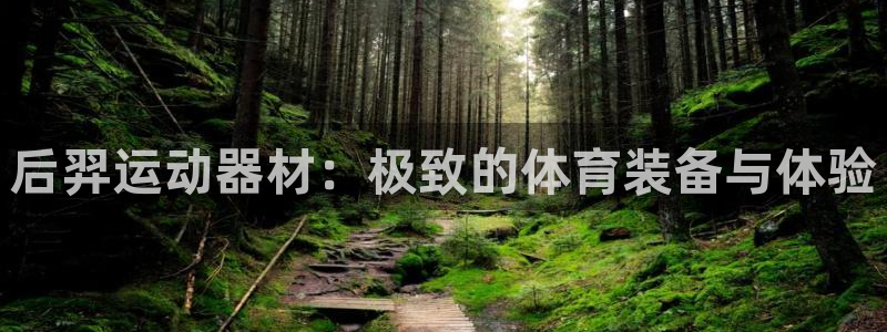 tp官方正版app集团logo：后羿运动器材：极致的